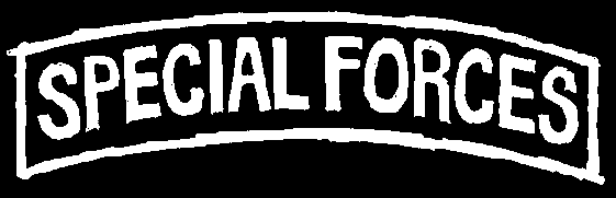 Special Forces logo